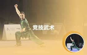 WTT赛事签表正式公布